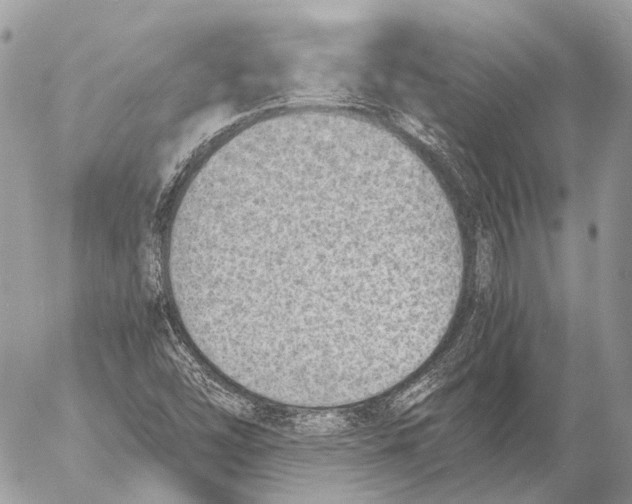 X0000053071454200508081207