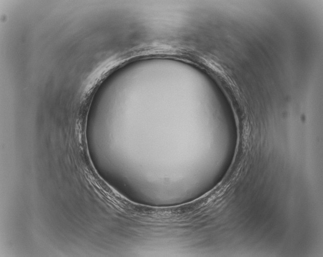 X0000053071455200508081207