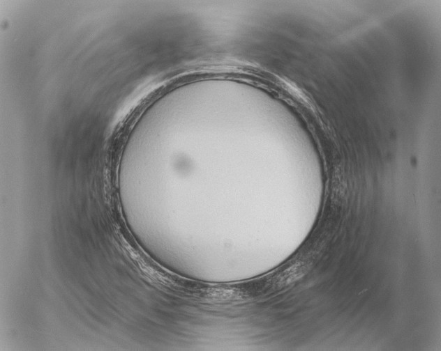 X0000053071456200508081207