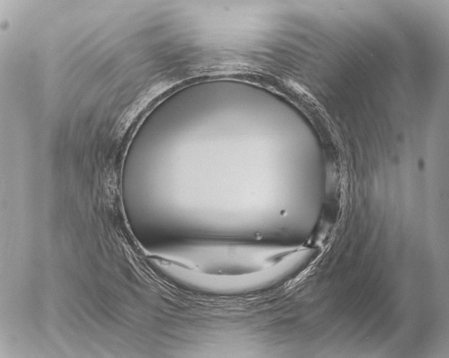 X0000053071457200508081207