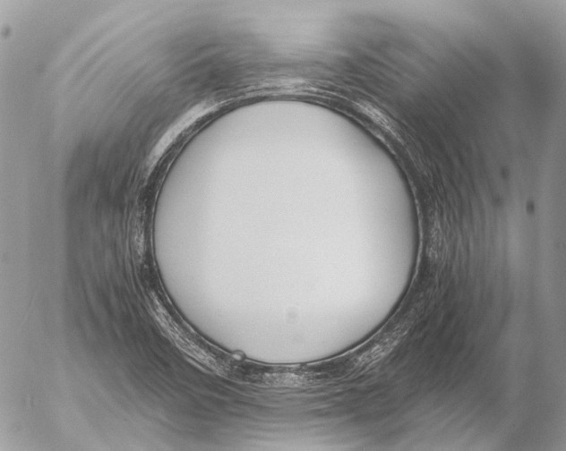 X0000053071458200508081207