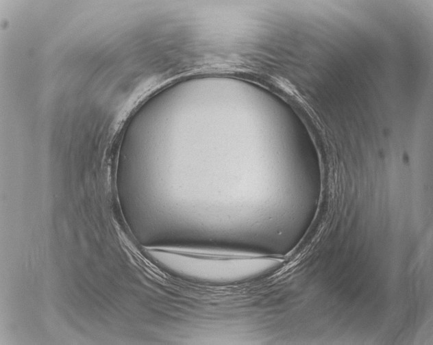 X0000053071459200508081207