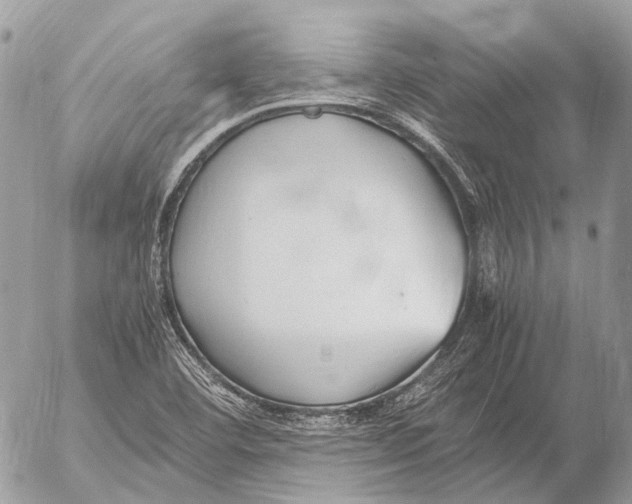 X0000053071460200508081207