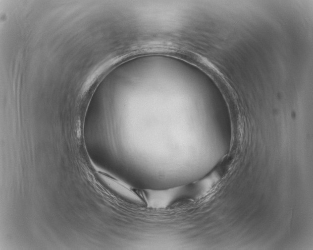 X0000053071461200508081207