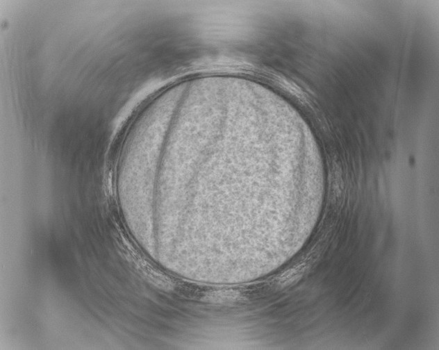 X0000053071462200508081207