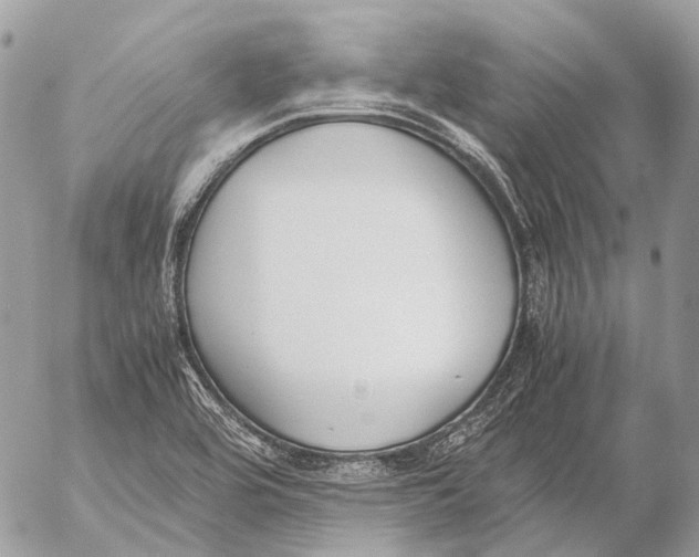 X0000053071464200508081207