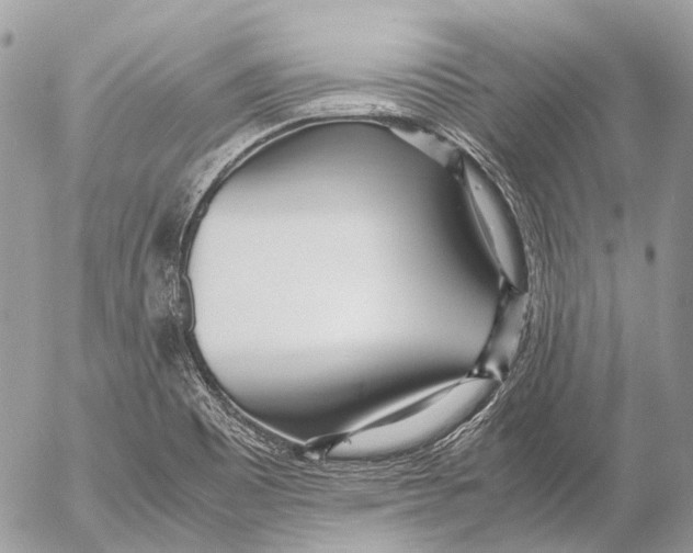 X0000053071465200508081207