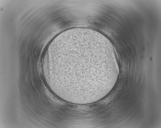 X0000053071466200508081207