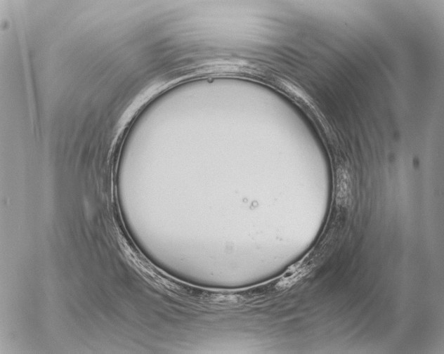 X0000053071467200508081207