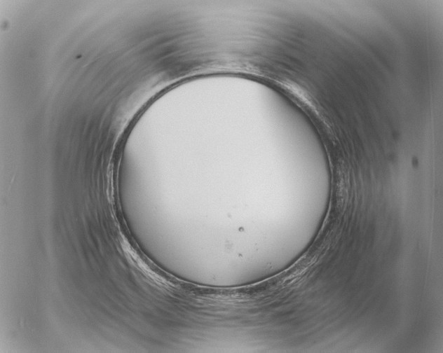 X0000053071468200508081207