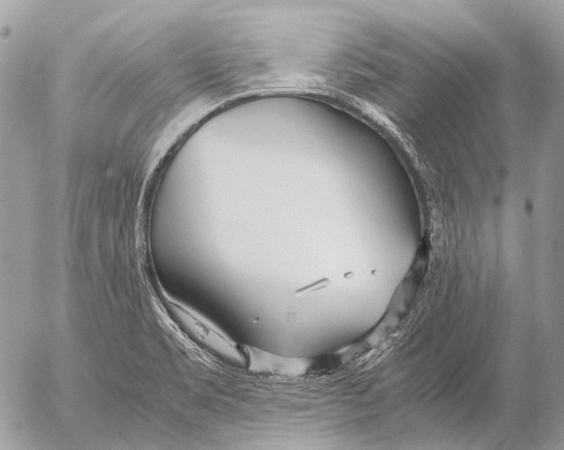 X0000053071469200508081207