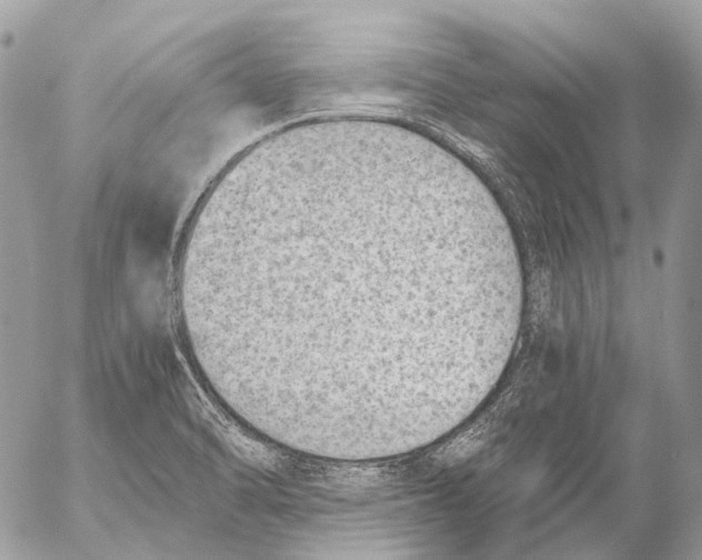 X0000053071470200508081207