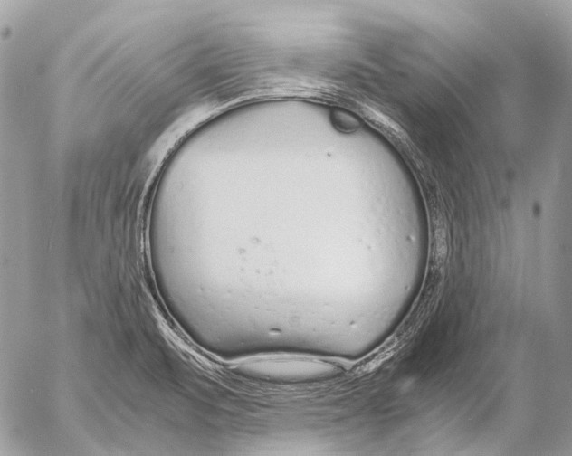 X0000053071471200508081207