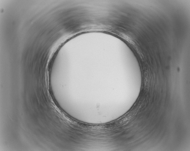 X0000053071472200508081207