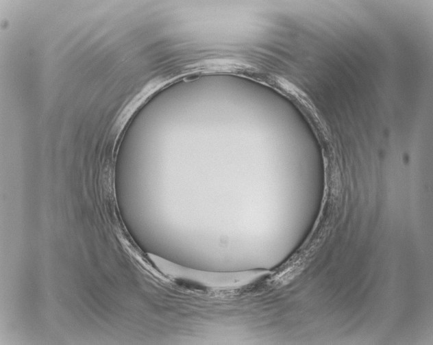 X0000053071473200508081207