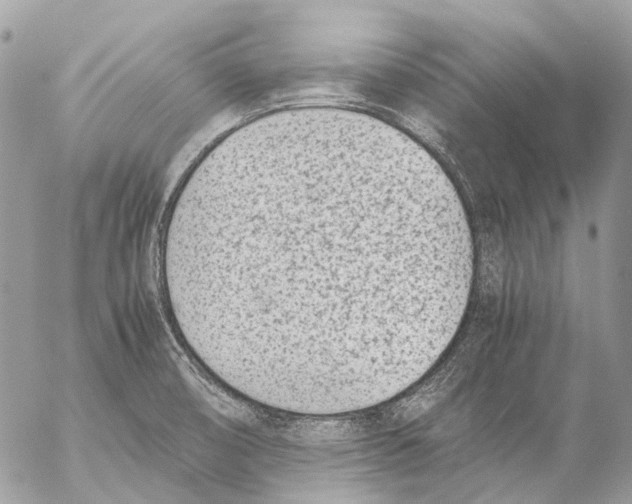 X0000053071474200508081207