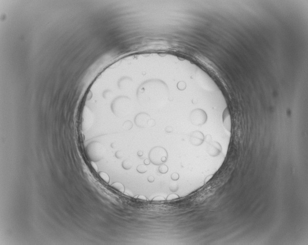 X0000053071475200508081207