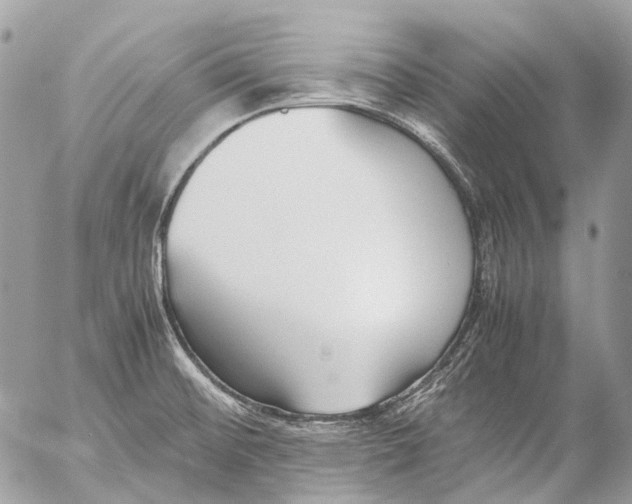 X0000053071476200508081207