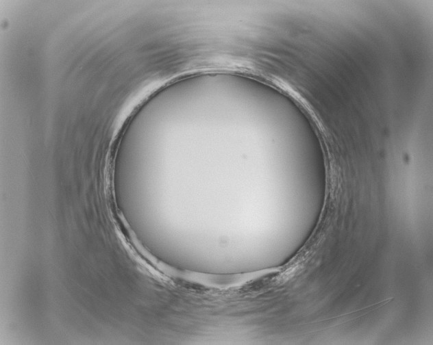 X0000053071477200508081207