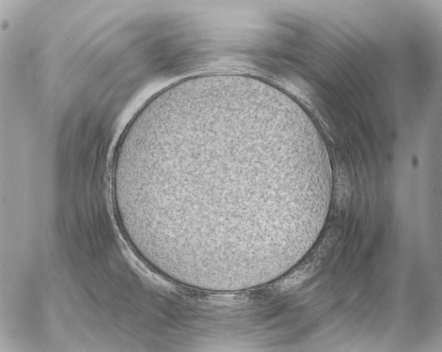 X0000053071478200508081207