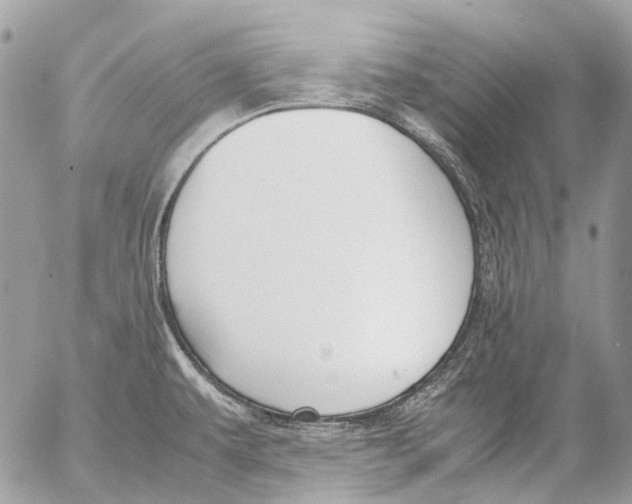 X0000053071479200508081207