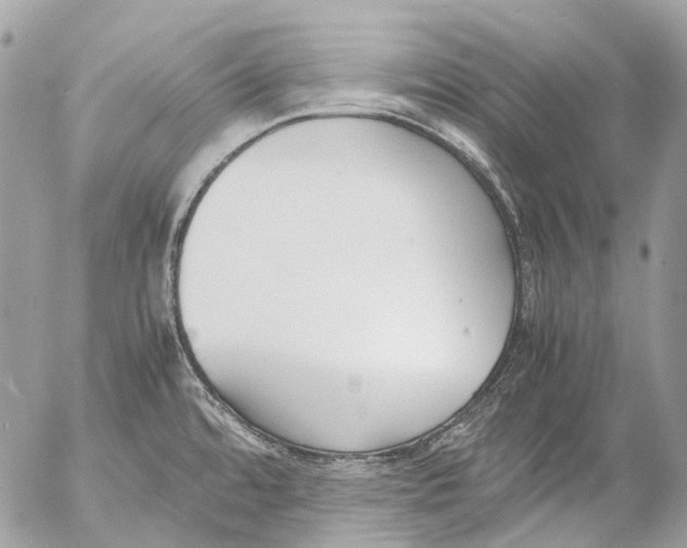 X0000053071480200508081207