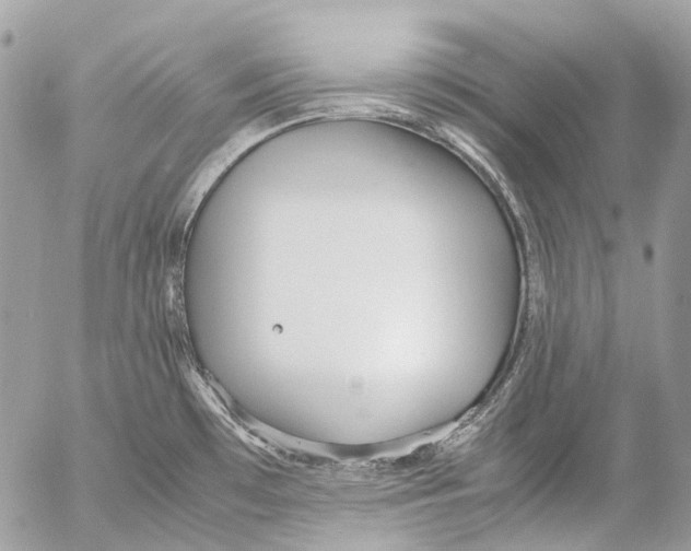 X0000053071481200508081207