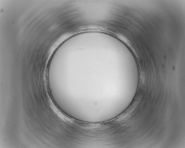 X0000053071482200508081207