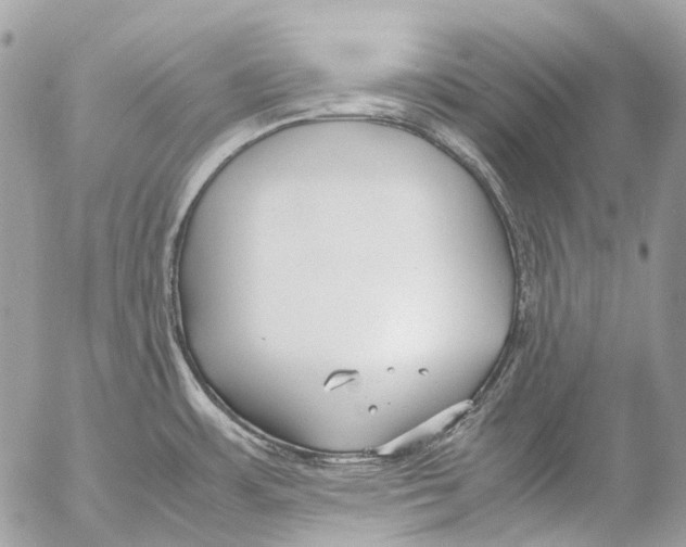 X0000053071483200508081207