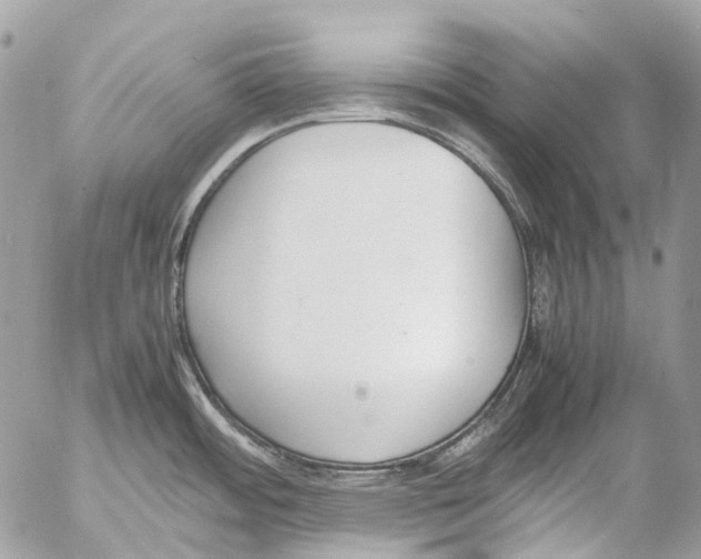 X0000053071484200508081207