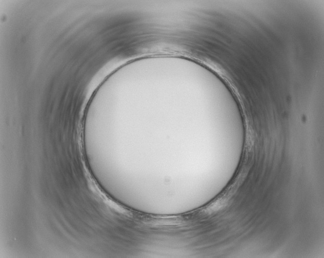 X0000053071486200508081207