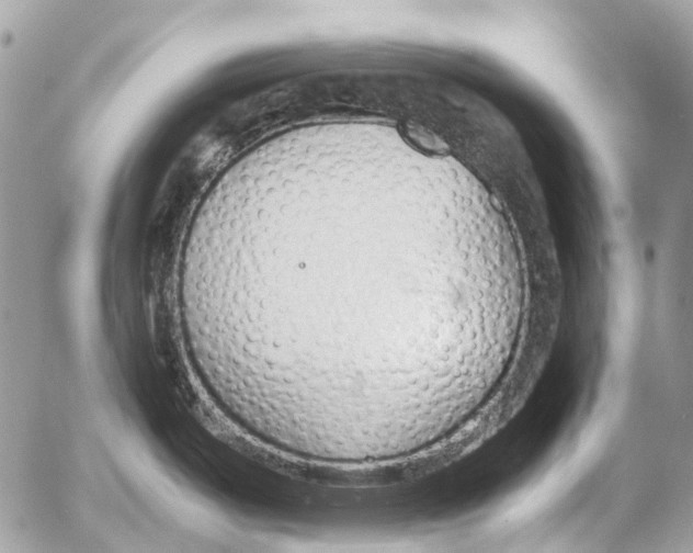 X0000053071487200508081207