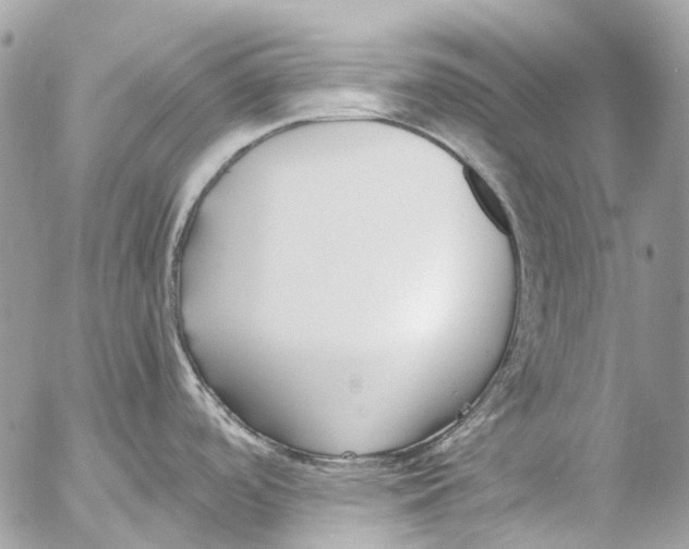 X0000053071488200508081207