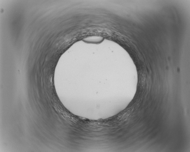 X0000053071489200508081206