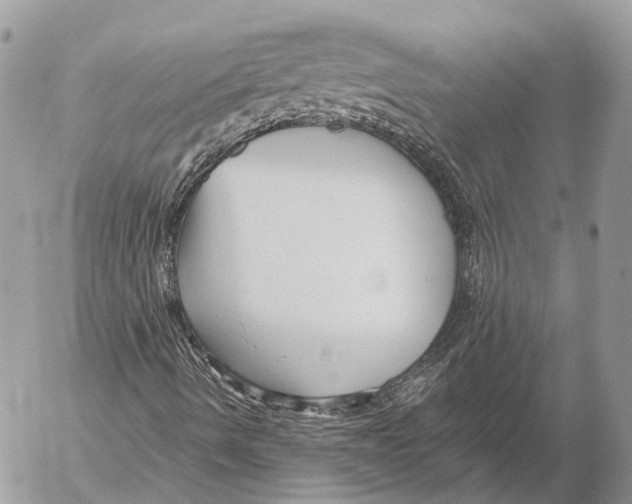 X0000053071490200508081206