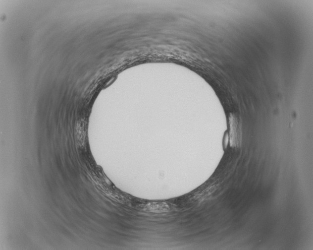 X0000053071491200508081206