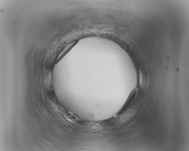 X0000053071492200508081206