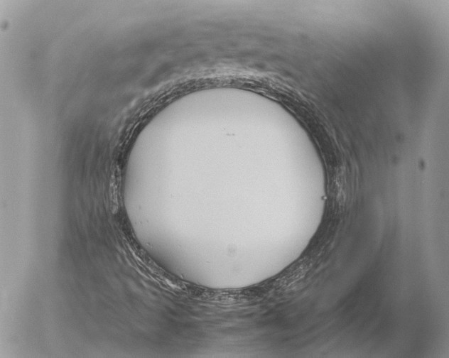 X0000053071493200508081206