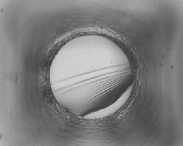 X0000053071494200508081206