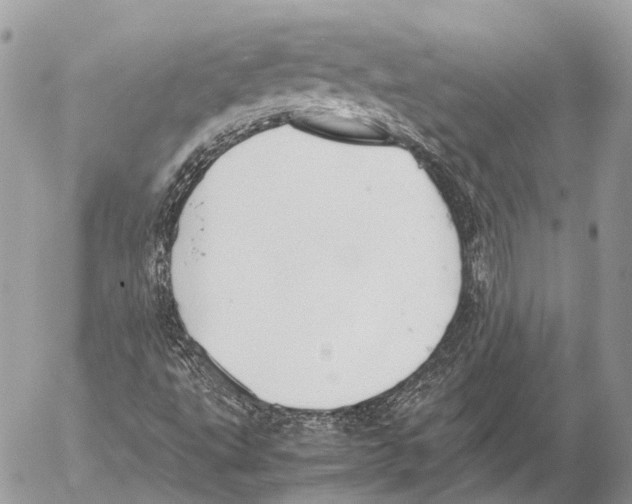 X0000053071495200508081206