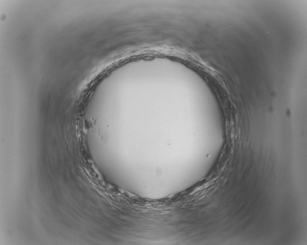 X0000053071496200508081206