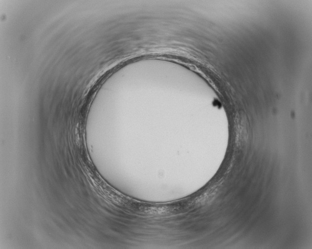 X0000053071497200508081206