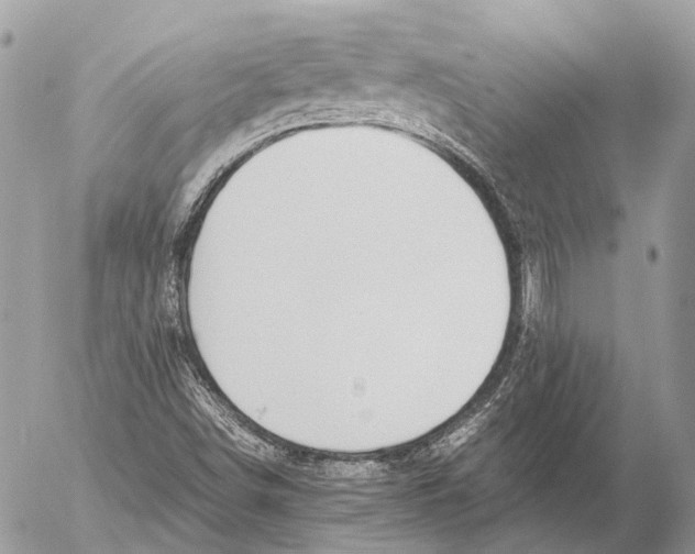 X0000053071498200508081206