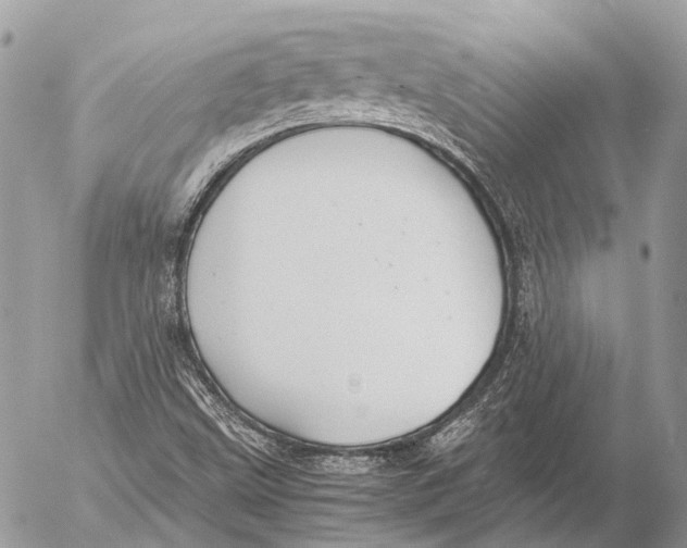 X0000053071499200508081206