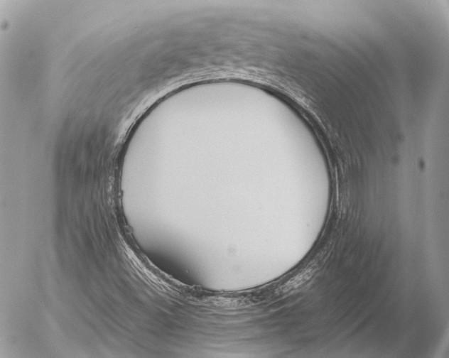 X0000053071500200508081206