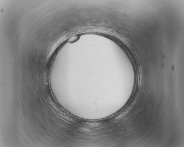 X0000053071501200508081206