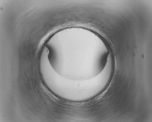 X0000053071502200508081206