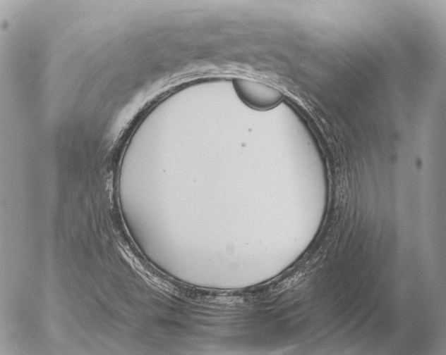 X0000053071503200508081206