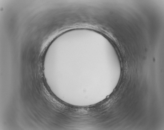 X0000053071504200508081206