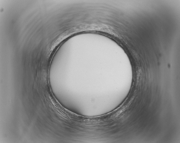 X0000053071505200508081206